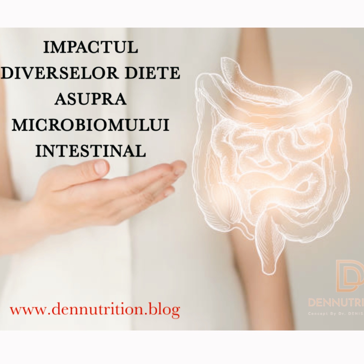 ESTE DIETA IMPORTANTA PENTRU MICROBIOMUL INTESTINAL ?